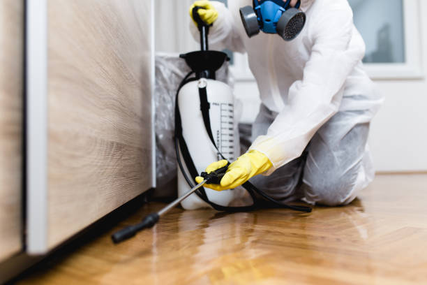 Best Pest Control Near Me in Renovo, PA