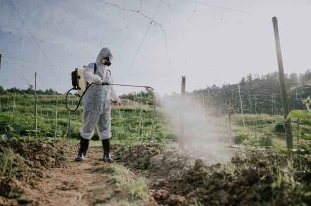 Best Affordable Exterminators  in Renovo, PA