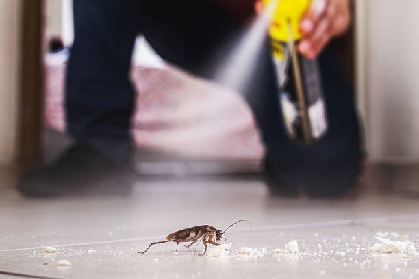 Best Best Pest Control Companies  in Renovo, PA